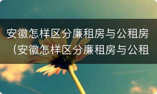 安徽怎样区分廉租房与公租房（安徽怎样区分廉租房与公租房的区别）