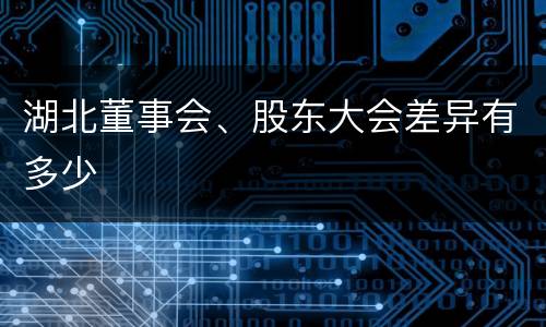 湖北董事会、股东大会差异有多少