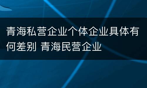 青海私营企业个体企业具体有何差别 青海民营企业
