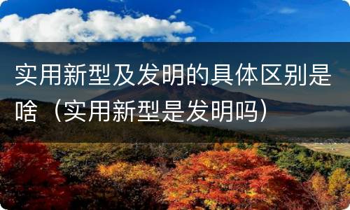 实用新型及发明的具体区别是啥（实用新型是发明吗）