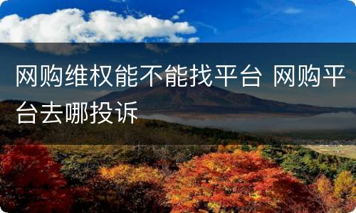 网购维权能不能找平台 网购平台去哪投诉
