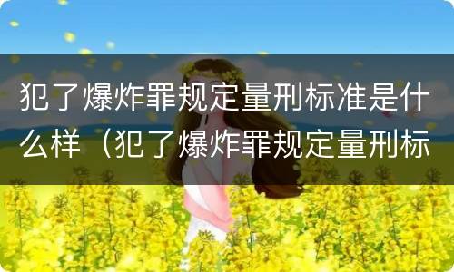 犯了爆炸罪规定量刑标准是什么样（犯了爆炸罪规定量刑标准是什么样子的）