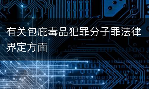 有关包庇毒品犯罪分子罪法律界定方面
