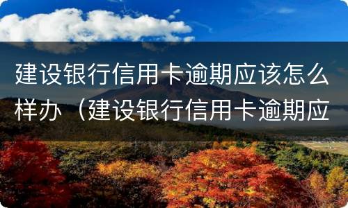 建设银行信用卡逾期应该怎么样办（建设银行信用卡逾期应该怎么样办呢）