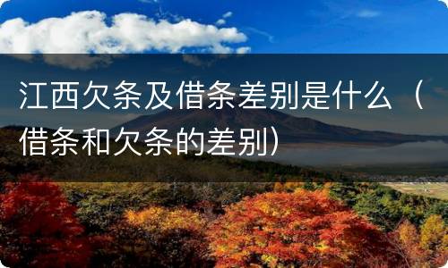 江西欠条及借条差别是什么（借条和欠条的差别）