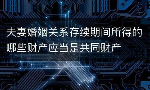 夫妻婚姻关系存续期间所得的哪些财产应当是共同财产