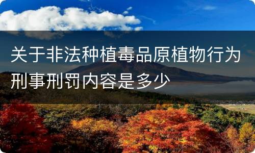 关于非法种植毒品原植物行为刑事刑罚内容是多少