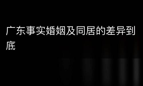 广东事实婚姻及同居的差异到底