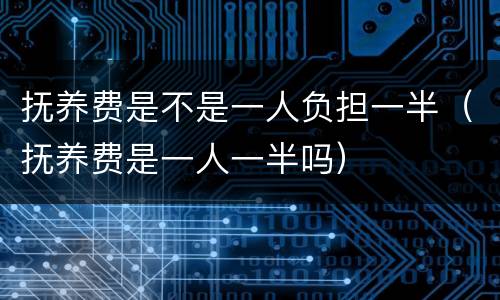 抚养费是不是一人负担一半（抚养费是一人一半吗）