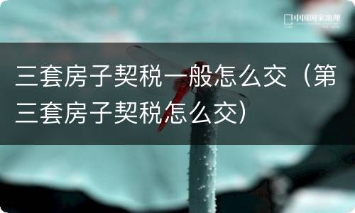 三套房子契税一般怎么交（第三套房子契税怎么交）