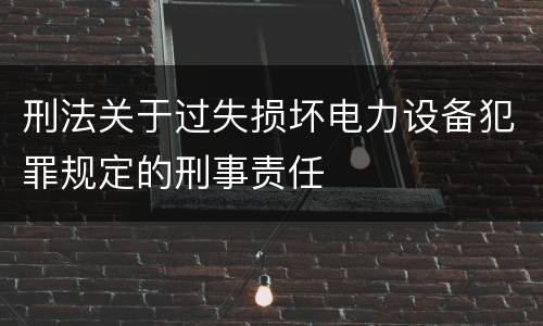 刑法关于过失损坏电力设备犯罪规定的刑事责任
