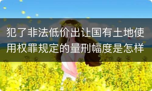 犯了非法低价出让国有土地使用权罪规定的量刑幅度是怎样的
