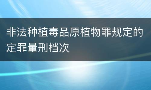 非法种植毒品原植物罪规定的定罪量刑档次
