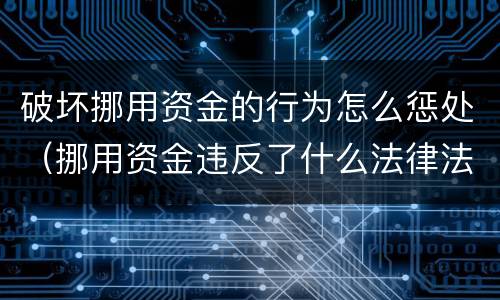 破坏挪用资金的行为怎么惩处（挪用资金违反了什么法律法规）