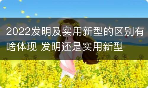 2022发明及实用新型的区别有啥体现 发明还是实用新型