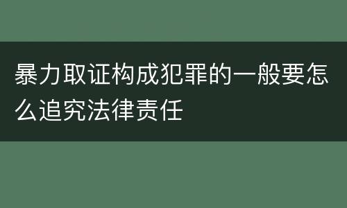 暴力取证构成犯罪的一般要怎么追究法律责任