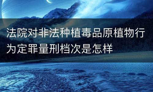 法院对非法种植毒品原植物行为定罪量刑档次是怎样