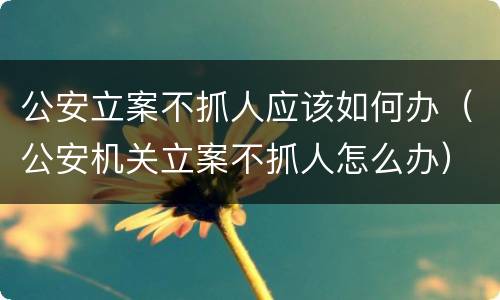 公安立案不抓人应该如何办（公安机关立案不抓人怎么办）