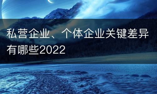 私营企业、个体企业关键差异有哪些2022