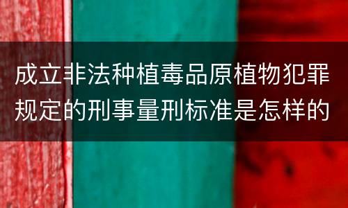 成立非法种植毒品原植物犯罪规定的刑事量刑标准是怎样的