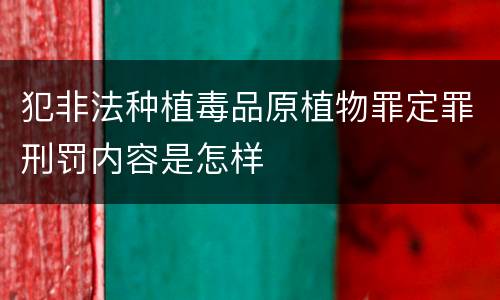 犯非法种植毒品原植物罪定罪刑罚内容是怎样