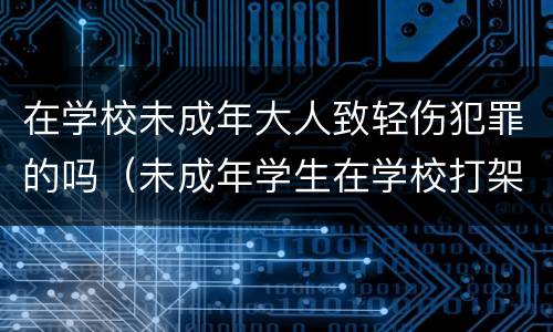 在学校未成年大人致轻伤犯罪的吗（未成年学生在学校打架学校有责任吗）