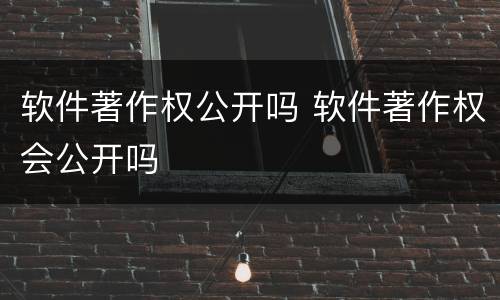 软件著作权公开吗 软件著作权会公开吗