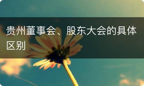 贵州董事会、股东大会的具体区别