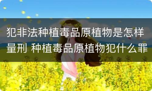 犯非法种植毒品原植物是怎样量刑 种植毒品原植物犯什么罪