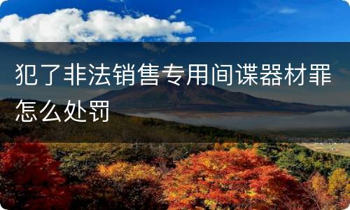 犯了非法销售专用间谍器材罪怎么处罚