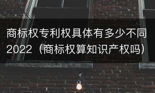 商标权专利权具体有多少不同2022（商标权算知识产权吗）