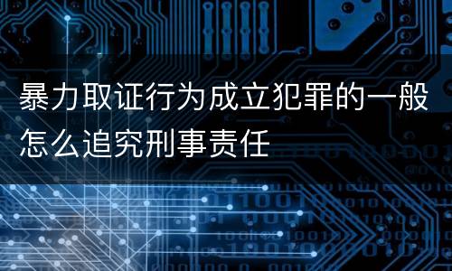 暴力取证行为成立犯罪的一般怎么追究刑事责任