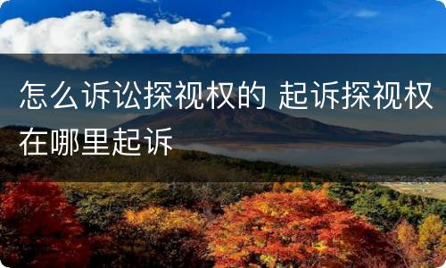 怎么诉讼探视权的 起诉探视权在哪里起诉