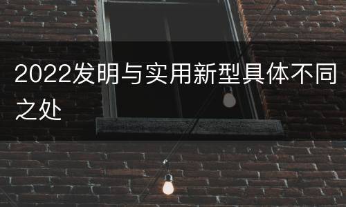 2022发明与实用新型具体不同之处