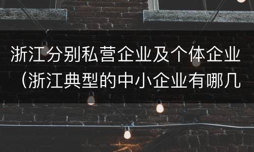 浙江分别私营企业及个体企业（浙江典型的中小企业有哪几家）