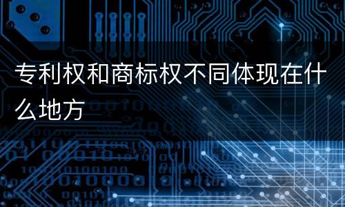 专利权和商标权不同体现在什么地方