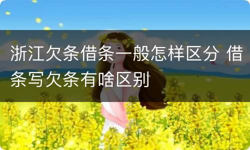 浙江欠条借条一般怎样区分 借条写欠条有啥区别