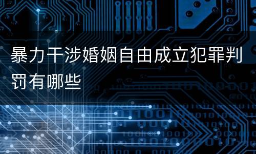 暴力干涉婚姻自由成立犯罪判罚有哪些