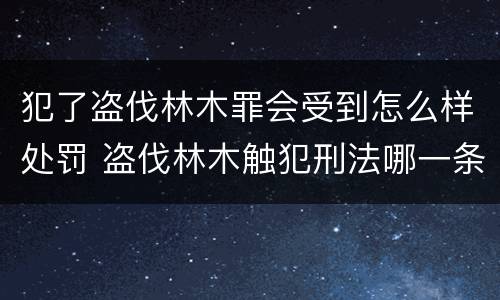 犯了盗伐林木罪会受到怎么样处罚 盗伐林木触犯刑法哪一条