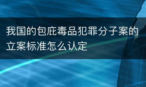 我国的包庇毒品犯罪分子案的立案标准怎么认定