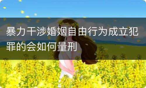 暴力干涉婚姻自由行为成立犯罪的会如何量刑