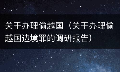 关于办理偷越国（关于办理偷越国边境罪的调研报告）