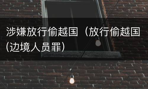 涉嫌放行偷越国（放行偷越国(边境人员罪）