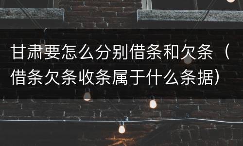 甘肃要怎么分别借条和欠条（借条欠条收条属于什么条据）