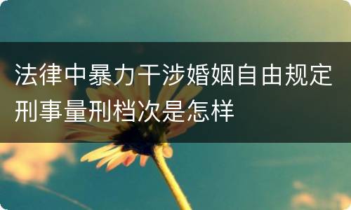 法律中暴力干涉婚姻自由规定刑事量刑档次是怎样