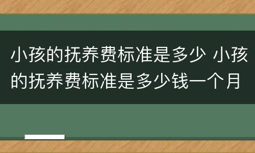 小孩的抚养费标准是多少 小孩的抚养费标准是多少钱一个月