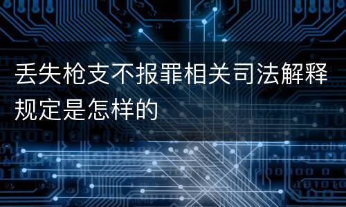 丢失枪支不报罪相关司法解释规定是怎样的