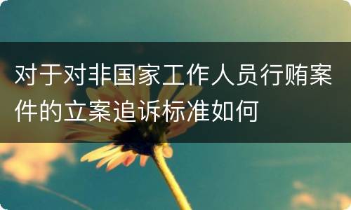 对于对非国家工作人员行贿案件的立案追诉标准如何