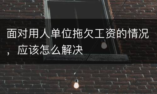 面对用人单位拖欠工资的情况，应该怎么解决