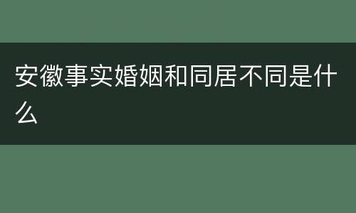 安徽事实婚姻和同居不同是什么